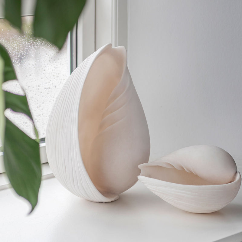 CONCH shell, small, Off-white