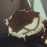 WATER LILY deco bowl, Sand grey