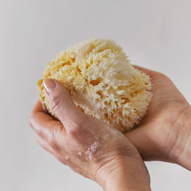 Natural Ocean Artist Sponges 4/Pkg-3 Silk & 1 Jumbo